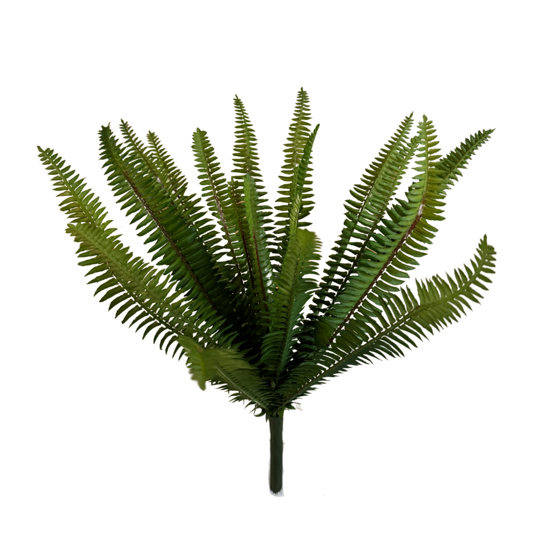 25772 16" Fern Bouquet X 22 - R