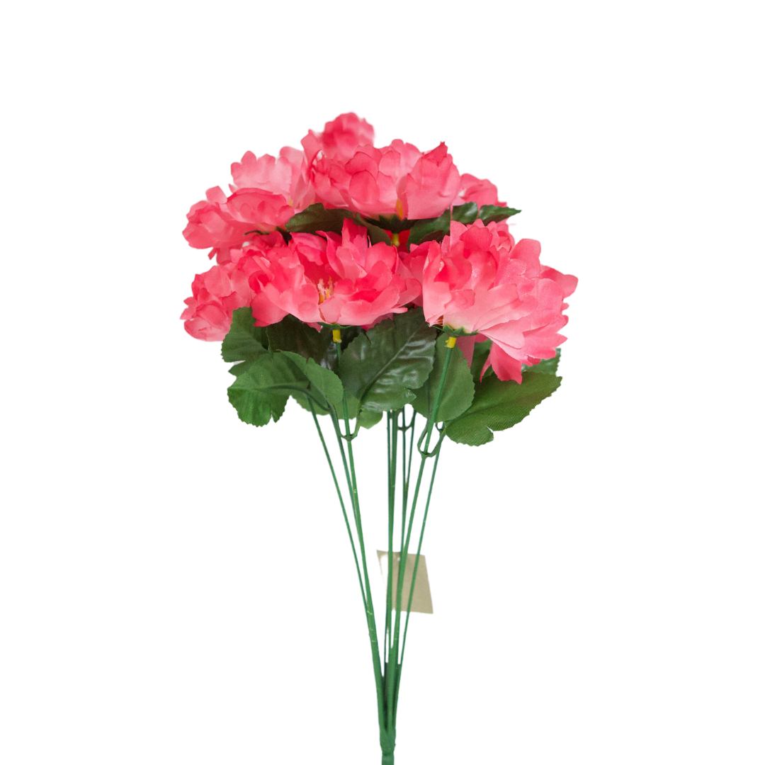 ✳︎peony✳︎ AH4373 Wild Peony Bush X 10 - R – Leggs Manufacturing