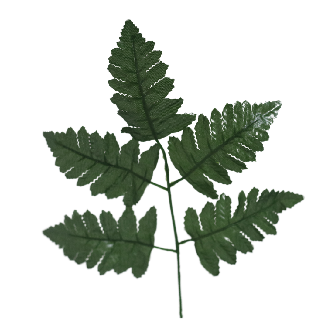GG313 5-Leaf Silk Leather Fern Leaves X 12 - W