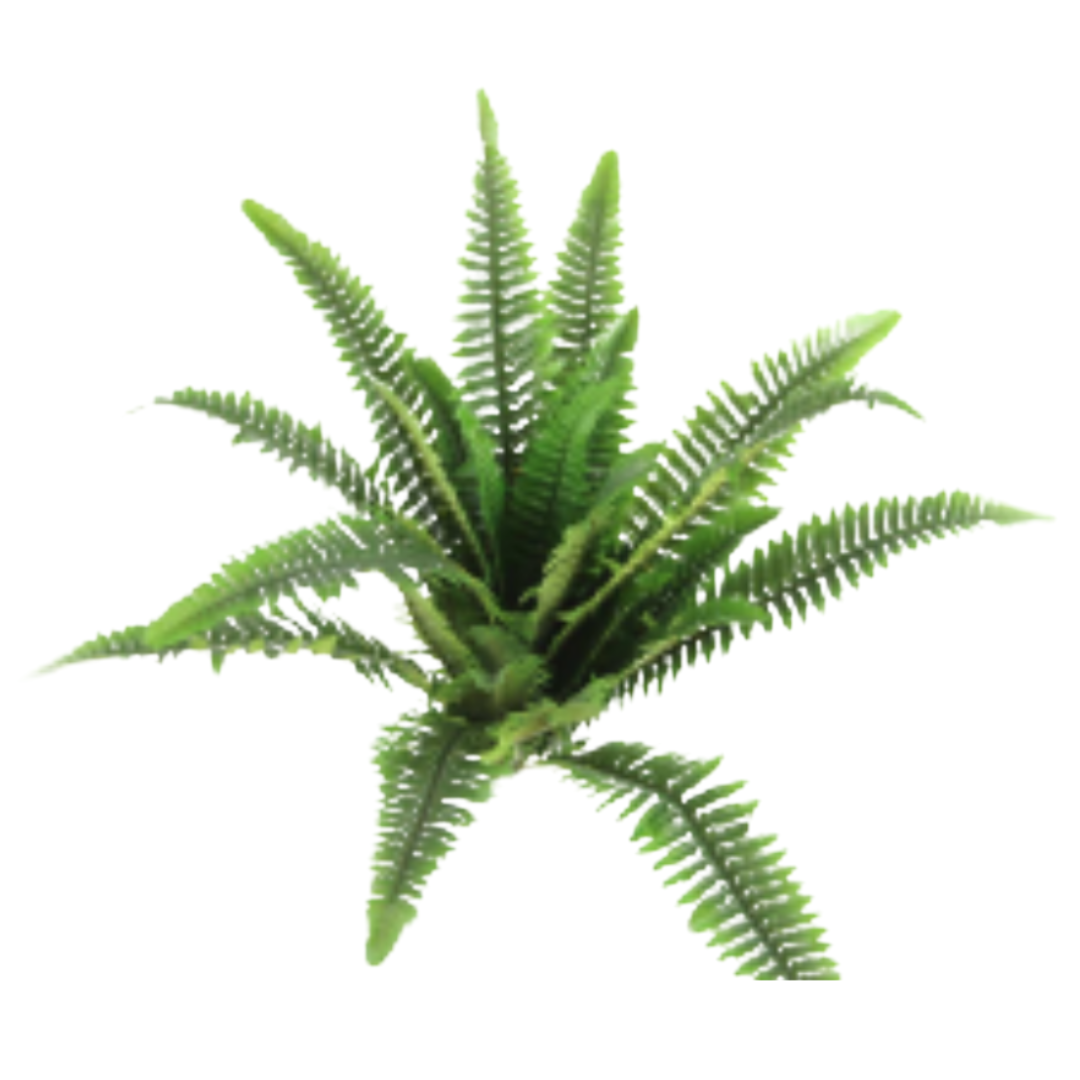 GG8628 28" 30 Leaf Boston Fern - W