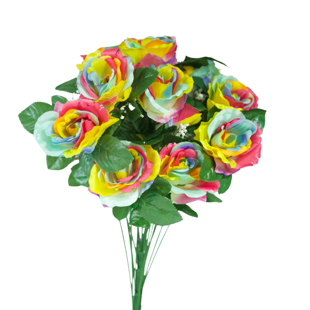 GPB19370 Rainbow Open Rose Bush - W