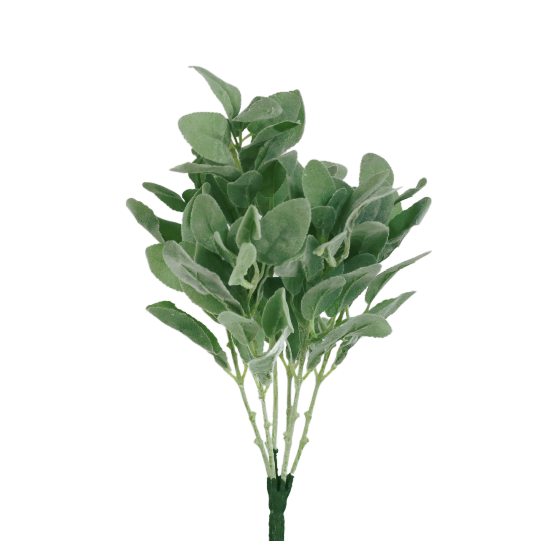 GPB24852 18" Lamb's Ear Bush X 6 - W