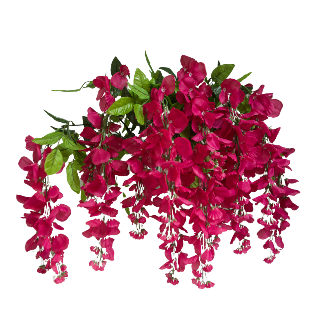GPB392 Wisteria Bush X 15 – Leggs Manufacturing
