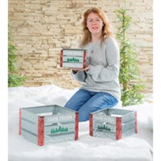 metal box planters Farm Fresh Metal Box Planter Medium