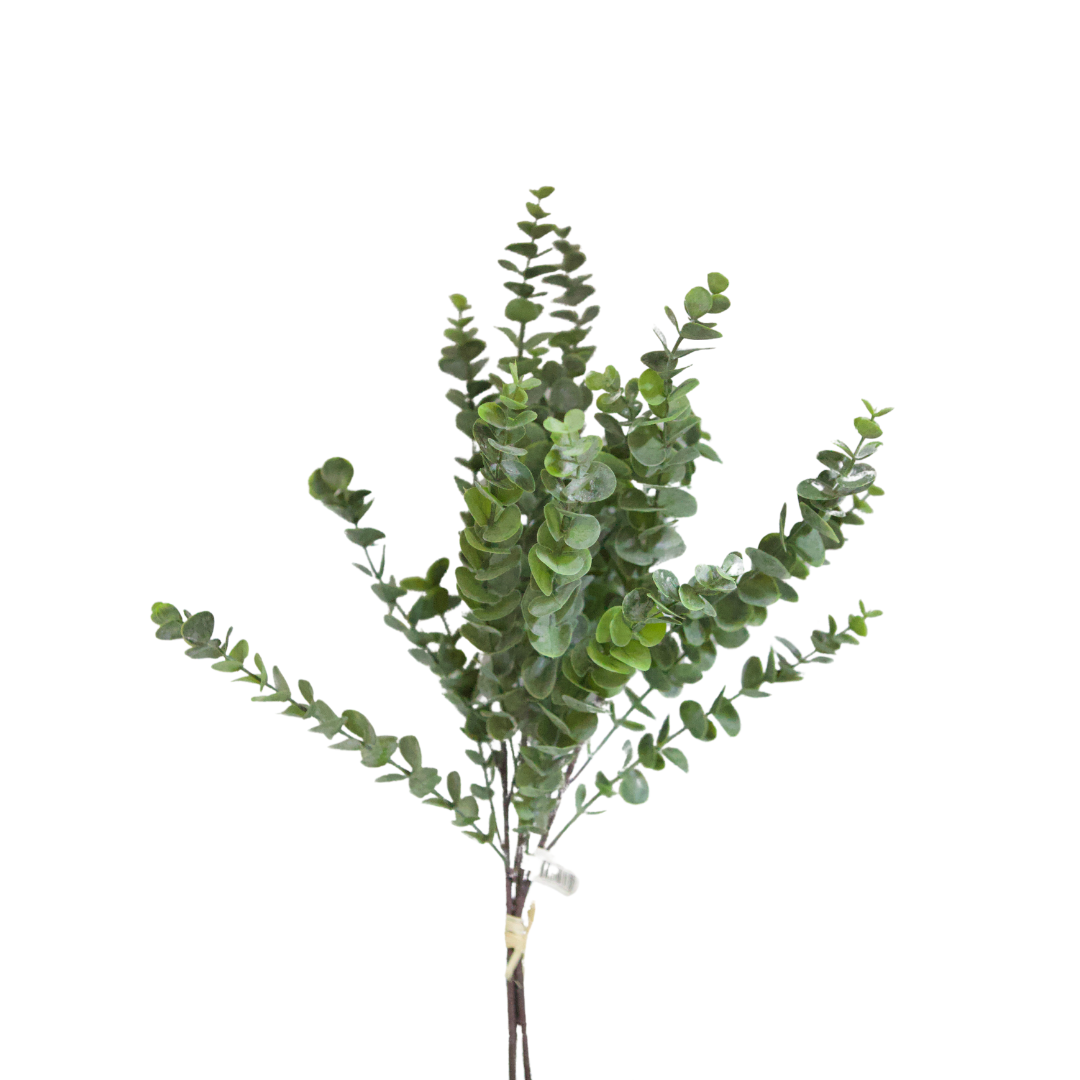 26082 26" Eucalyptus X 3 Piece Per Bundle - R