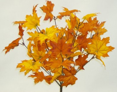 50844RDOR 18" Satin Maple Leaf X 11 - R