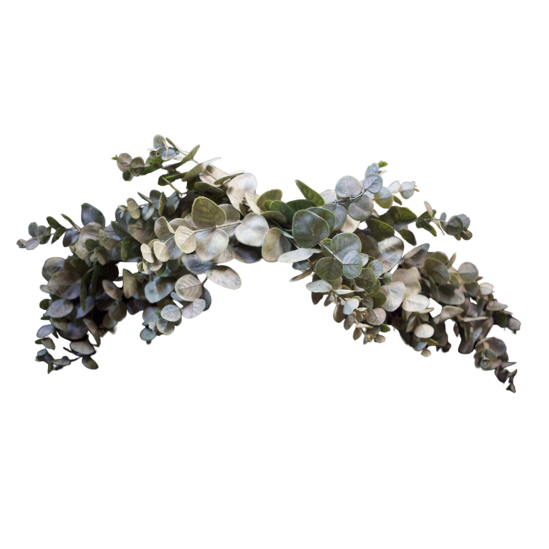 27254 32" Wired Eucalyptus Crescent Swag X 28 - R