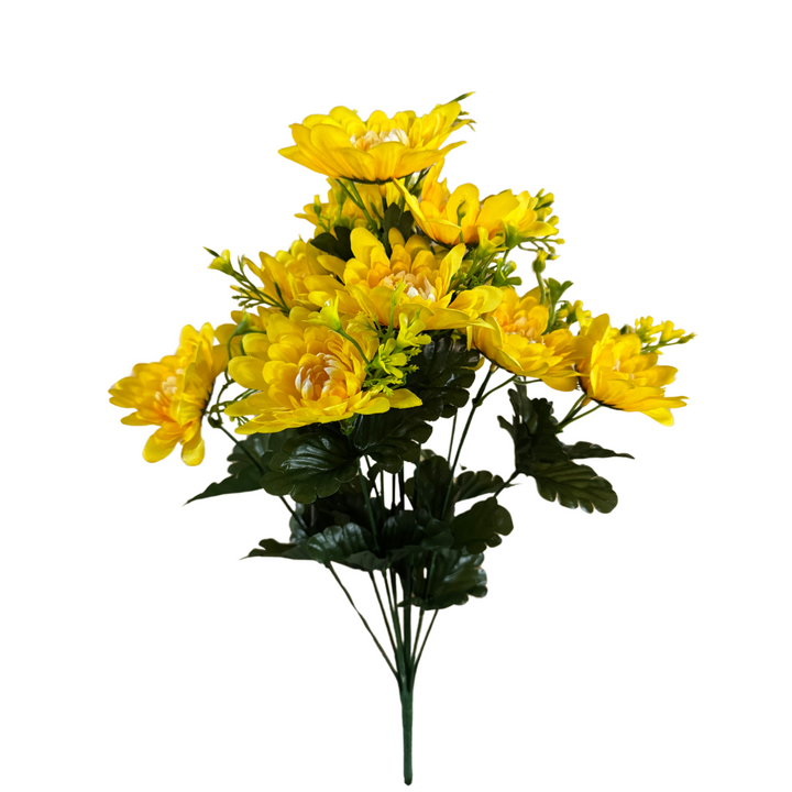 1297 Mum Bush X 12 - R