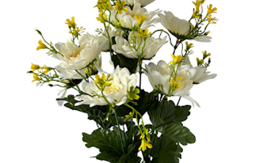 1297 Mum Bush X 12 - R