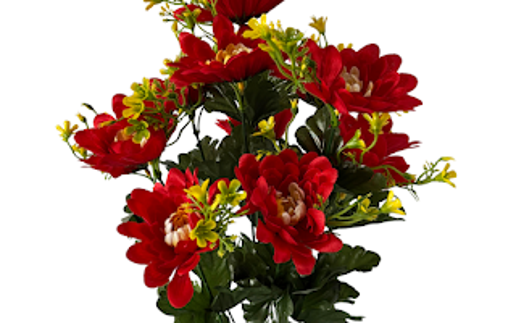 1297 Mum Bush X 12 - R