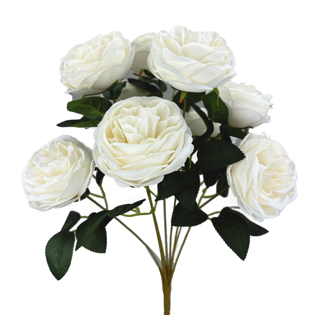 35133 17.5" Cabbage Rose Bush X 9
