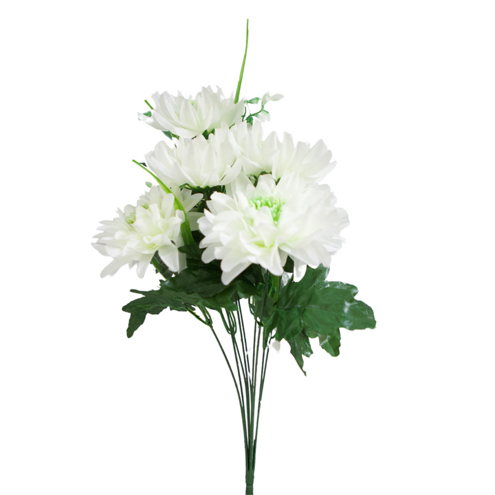 5523 Mum Bush X 9 - R