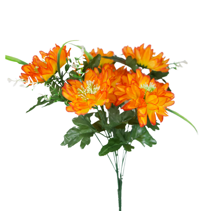 5523 Mum Bush X 9 - R