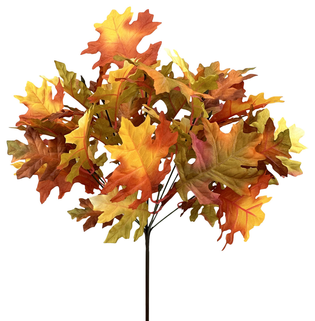 57532 18" Rust Oak Leaves Bush x 10