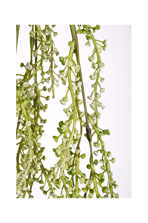 85002 36" Seed Hanging X 5 - R