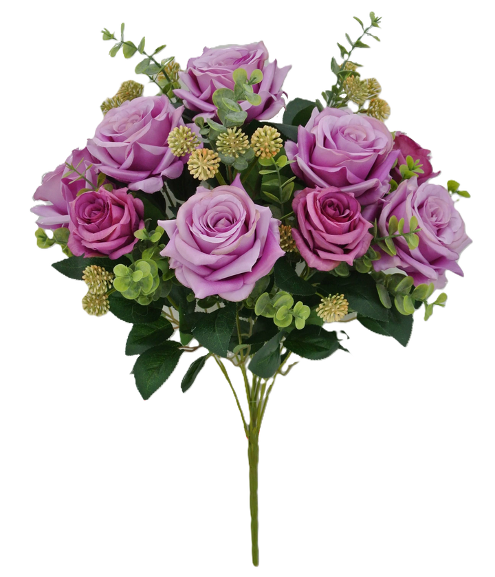 85023 20" Diamond Rose Bush X 12 - W