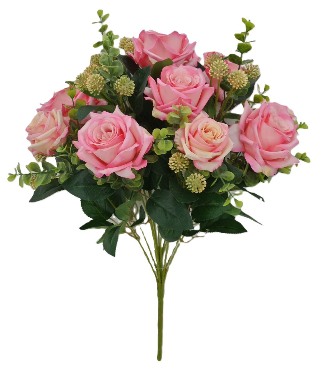 85023 20" Diamond Rose Bush X 12 - R