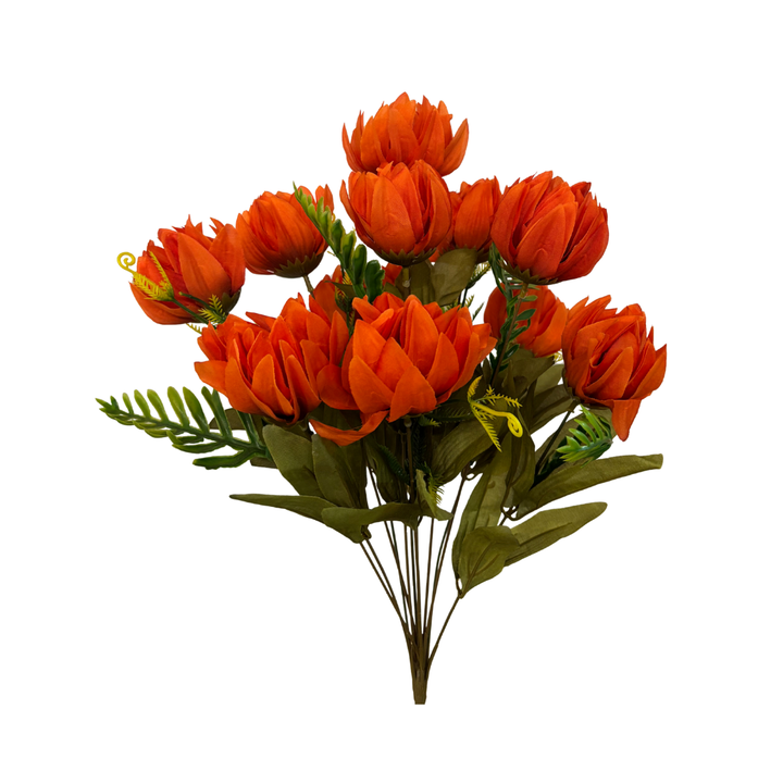 GPB19334 Calathia Bud Bush X 12 - W