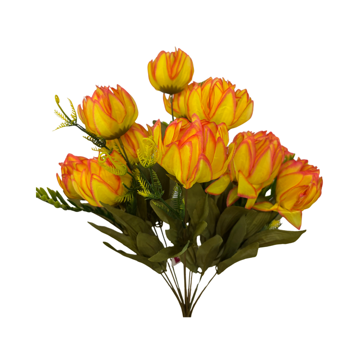 GPB19334 Calathia Bud Bush X 12 - W