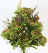 GPB26439 20" Sage/Brown Peony Bush X 24