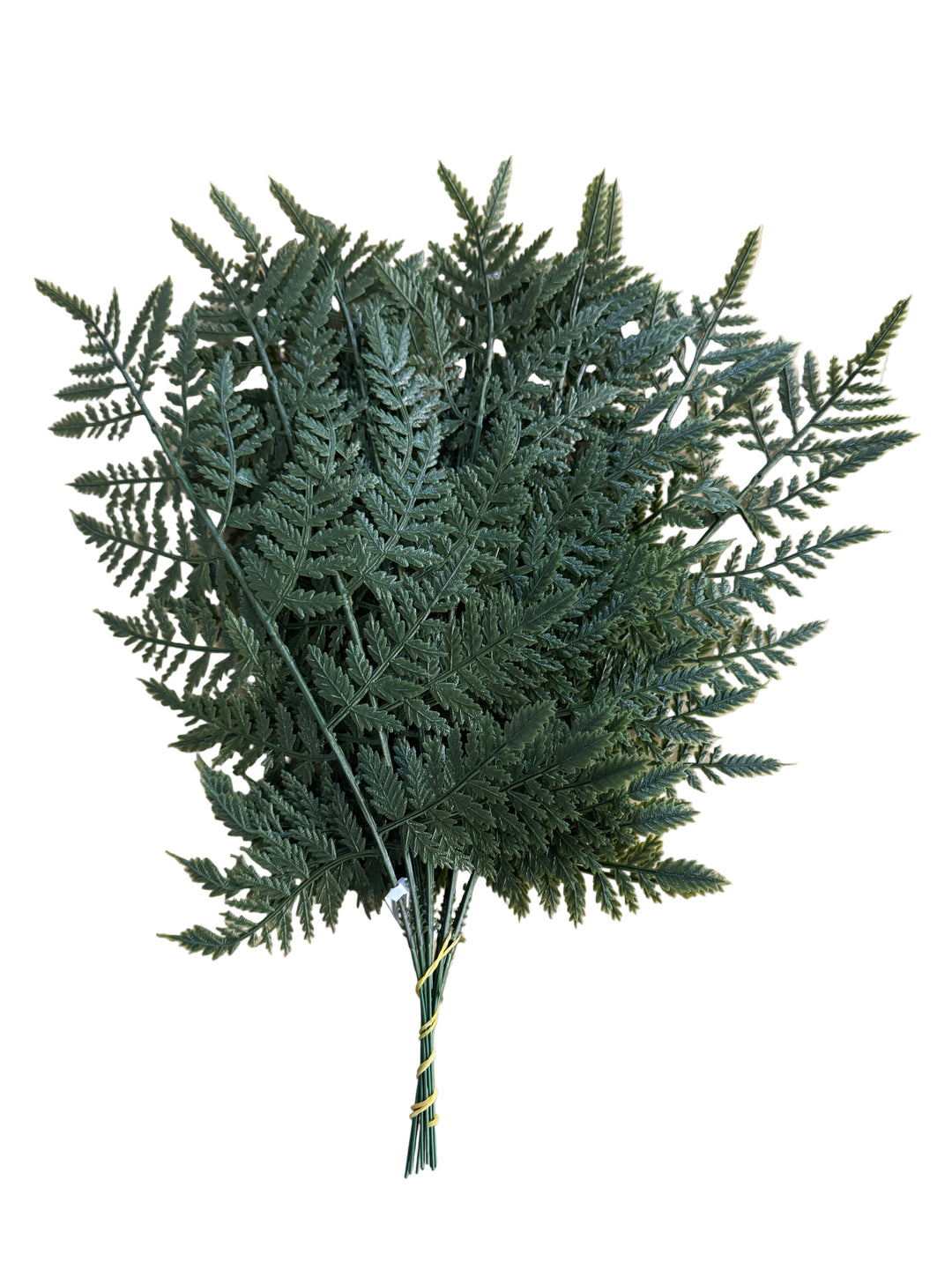 Plastic Leather Leaves X 12 - W