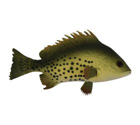 Faux Fish for Floral Design