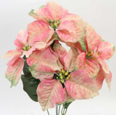 GPB26802 20" Poinsettia Bush X 5