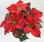 GPB26802 20" Poinsettia Bush X 5
